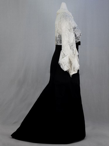 Lori Otter's 2011 Inaugural Gown: Side