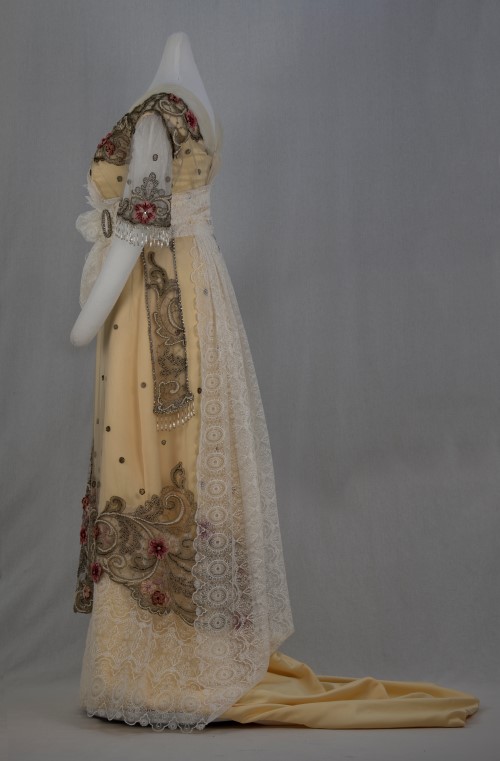 Haynes Inaugural Gown: Side