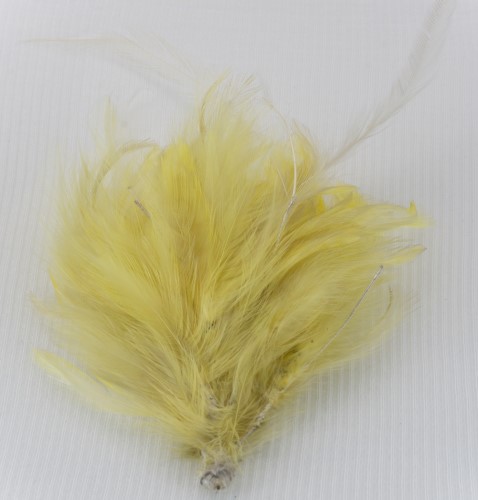 Yellow Feather